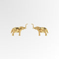 Jambo Salute Arushaa Studd Earrings