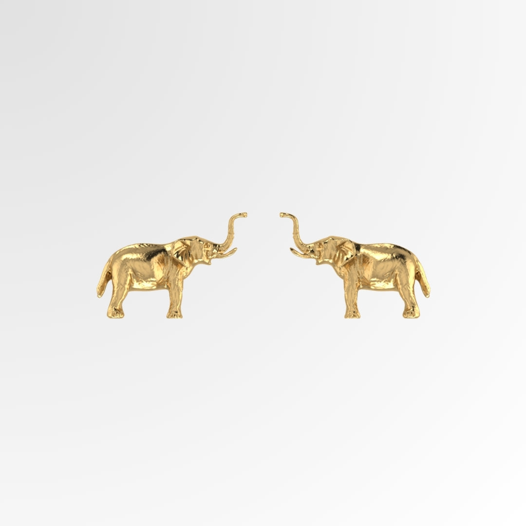 Jambo Salute Arushaa Studd Earrings