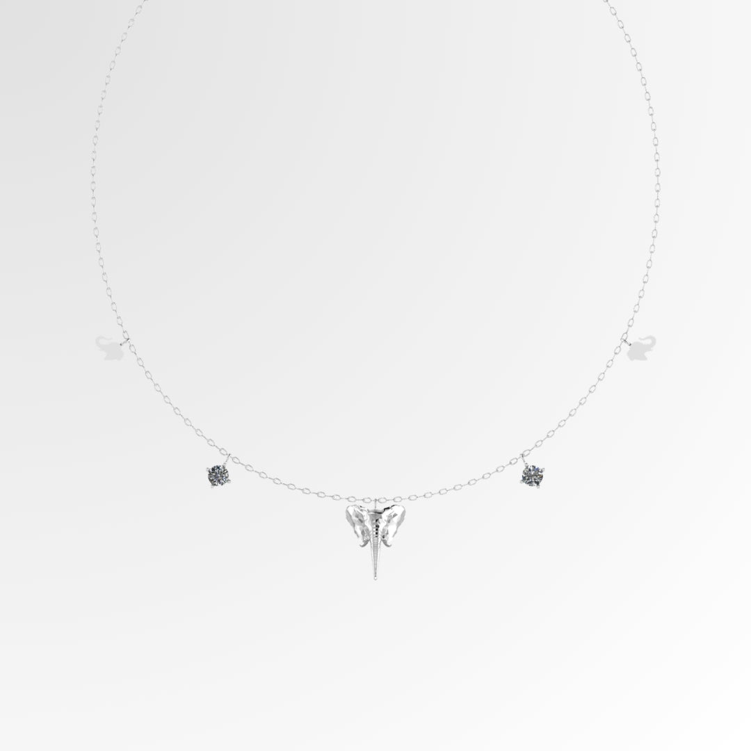 Golden Tusk Choker