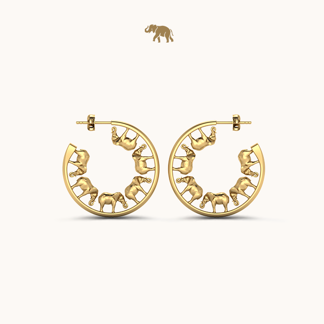 Arushaa Safari Hoops