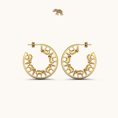 Arushaa Safari Hoops