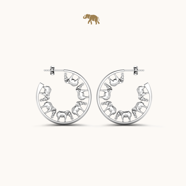 Arushaa Safari Hoops
