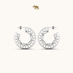 Arushaa Safari Hoops