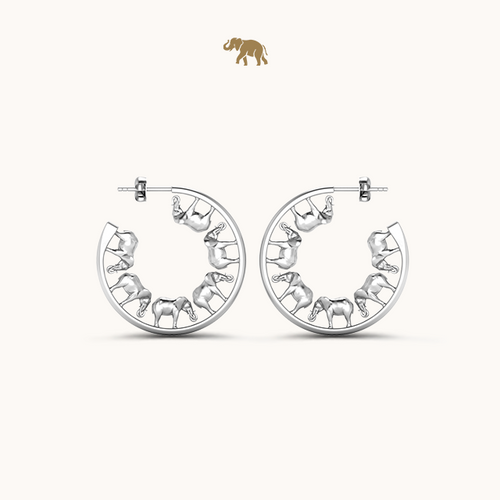 Arushaa Safari Hoops