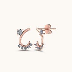 Curve Earrings