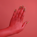 "Angan Wings" Nail Ring Set of 5